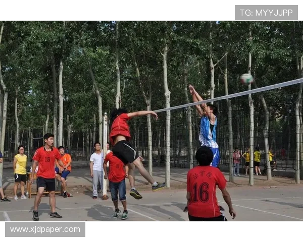南京排球队的意识提升与团队协作探讨聚焦排球运动发展新思路 南京排球队的意识提升与团队协作探讨聚焦排球运动发展新思路